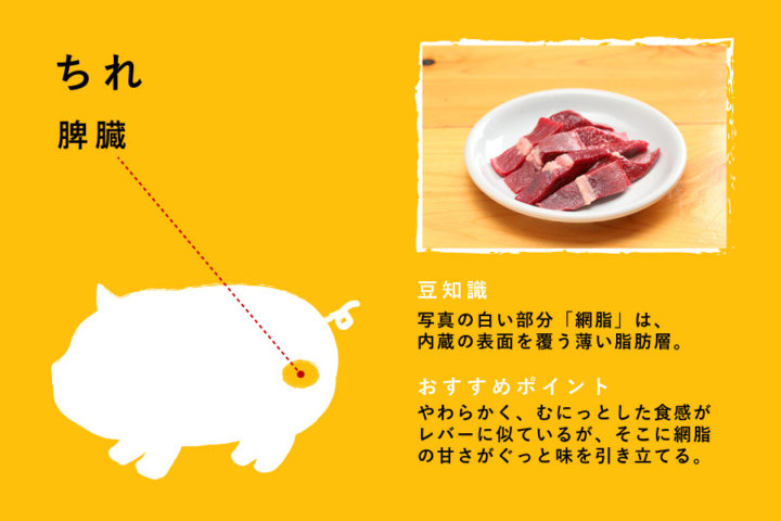 ちれ（脾臓）