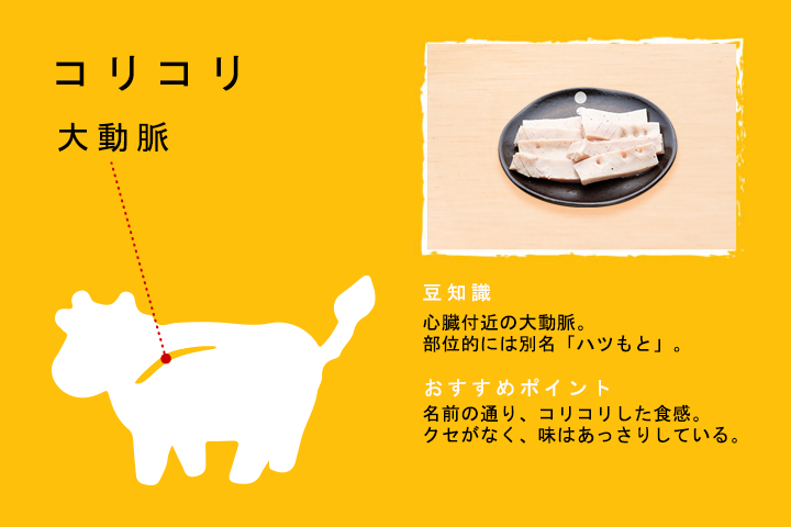 コリコリ（大動脈）