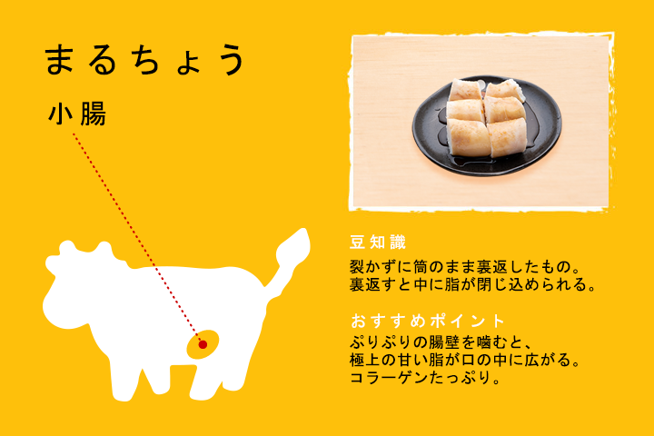 まるちょう（小腸）