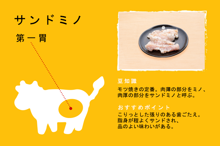 サンドミノ（第一胃）