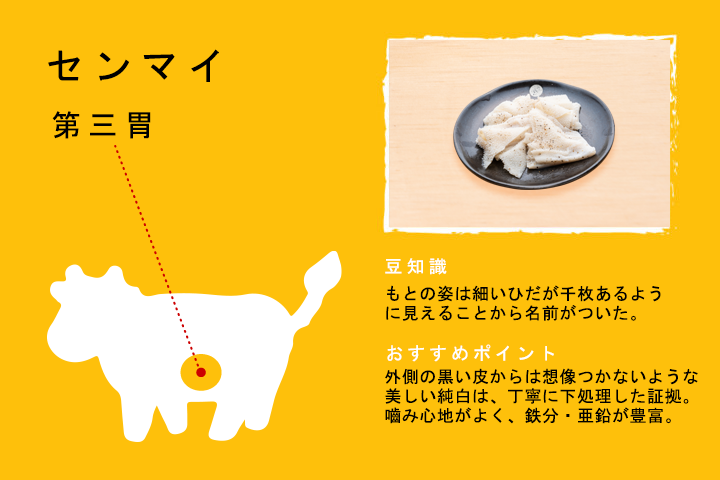 センマイ（第三胃）