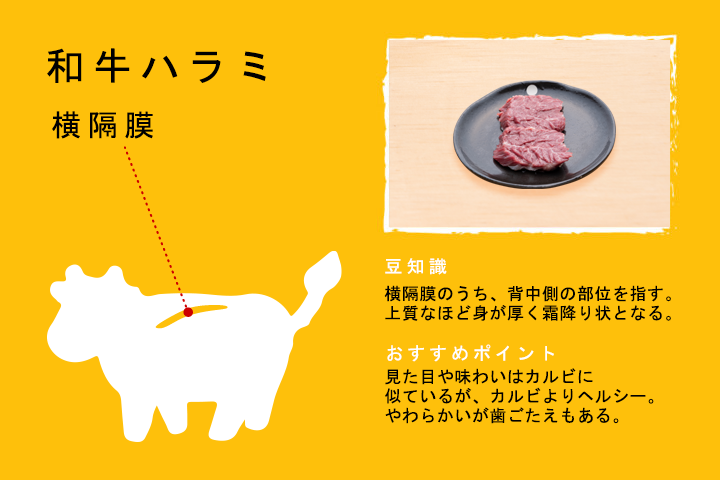 和牛ハラミ（横隔膜）