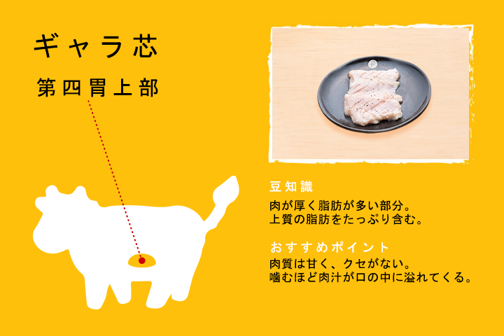 ギャラ芯（第四胃上部）
