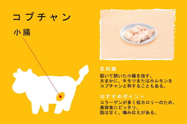 コプチャン（小腸）